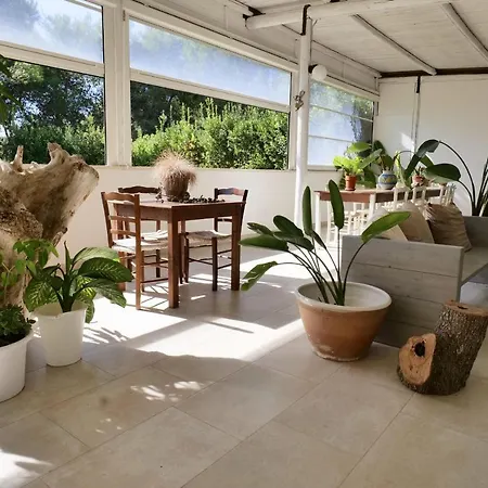 Missipezza A Frassanito 3*