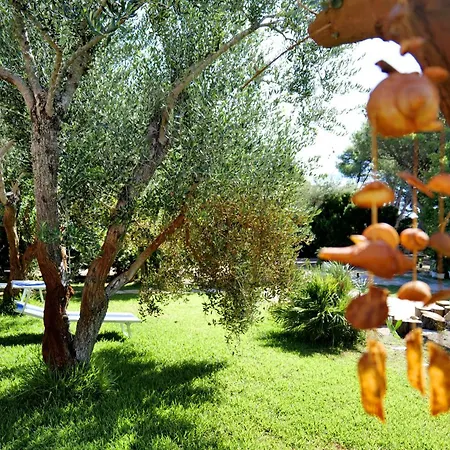 Missipezza A Frassanito Lägenhetshotell Alimini