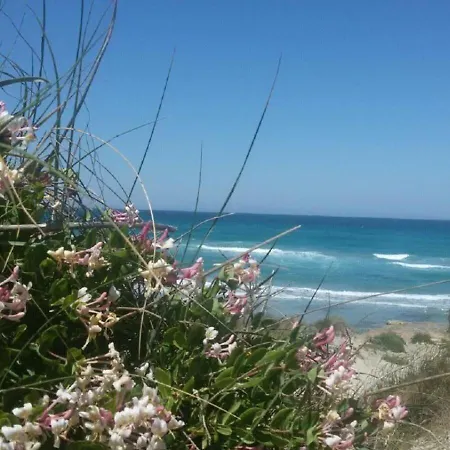 Missipezza A Frassanito 3*