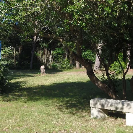 Missipezza A Frassanito 3*