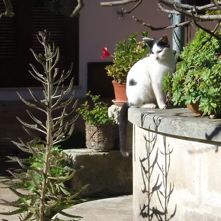 Lägenhetshotell Missipezza A Frassanito 3*