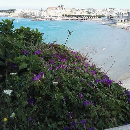 Missipezza A Frassanito