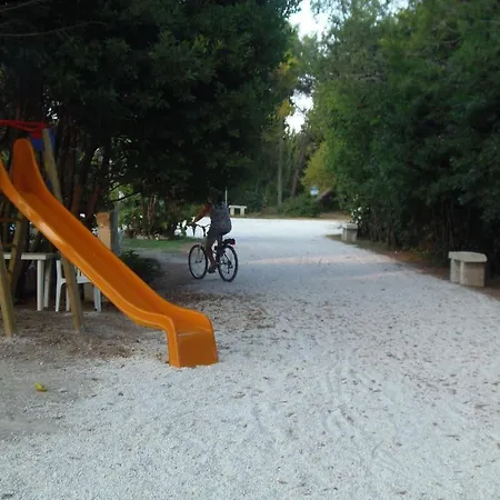 Missipezza A Frassanito