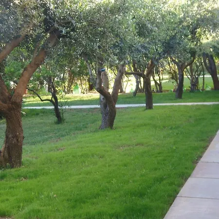 Missipezza A Frassanito Alimini