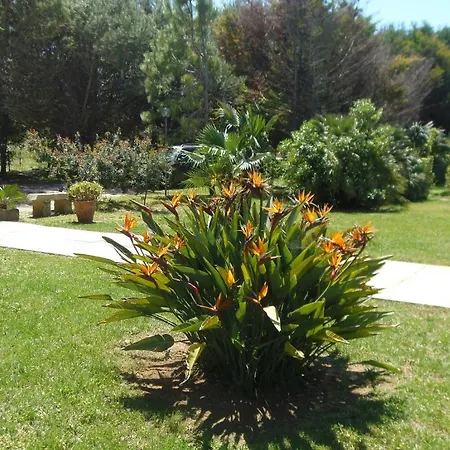 Missipezza A Frassanito Lägenhetshotell Alimini