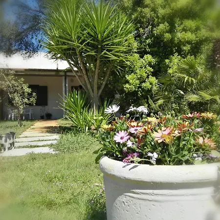 Missipezza A Frassanito Lägenhetshotell Alimini