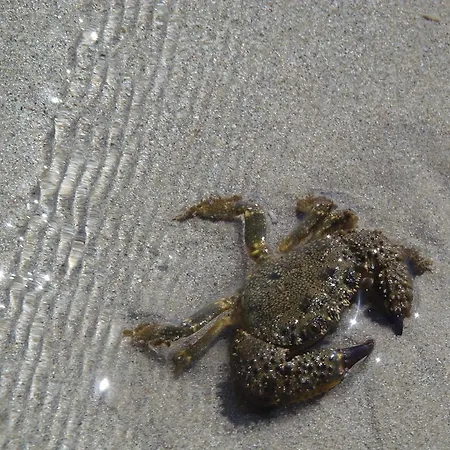 Missipezza A Frassanito Lägenhetshotell