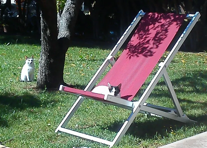 Missipezza A Frassanito
