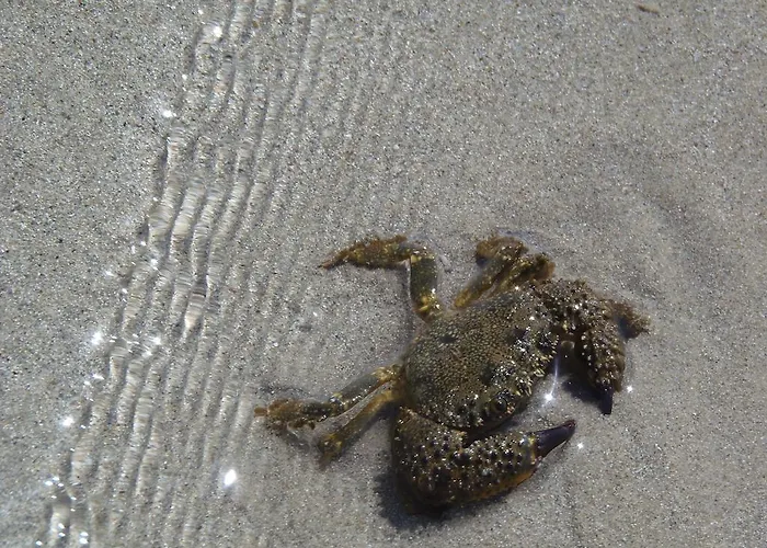 Missipezza A Frassanito Apartahotel